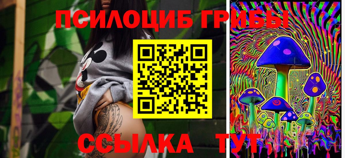 Галлюциногенные грибы Psilocybine cubensis  Галлюциногенные грибы GOLDEN TEACHER  Реж  Вход с VPN 
