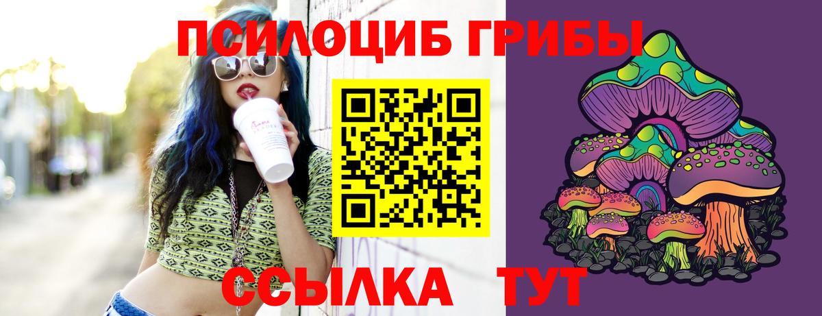 Галлюциногенные грибы Magic Shrooms Реж